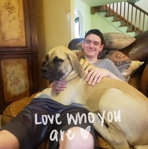 Meet your Posher, Lori